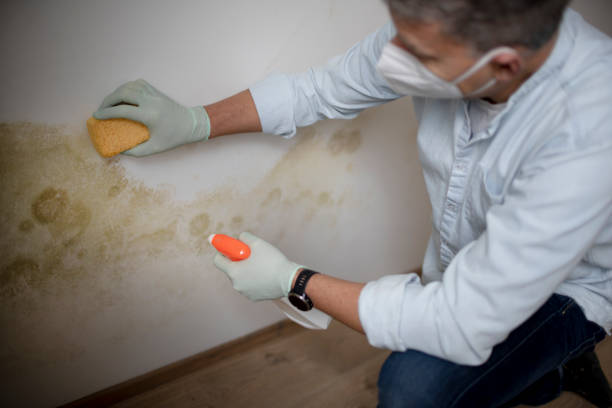 Water Damage Restoration in Kinston, NC